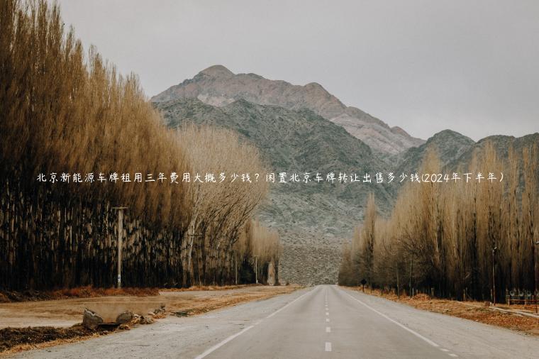 北京新能源车牌租用三年费用大概多少钱？闲置北京车牌转让出售多少钱(2024年下半年）