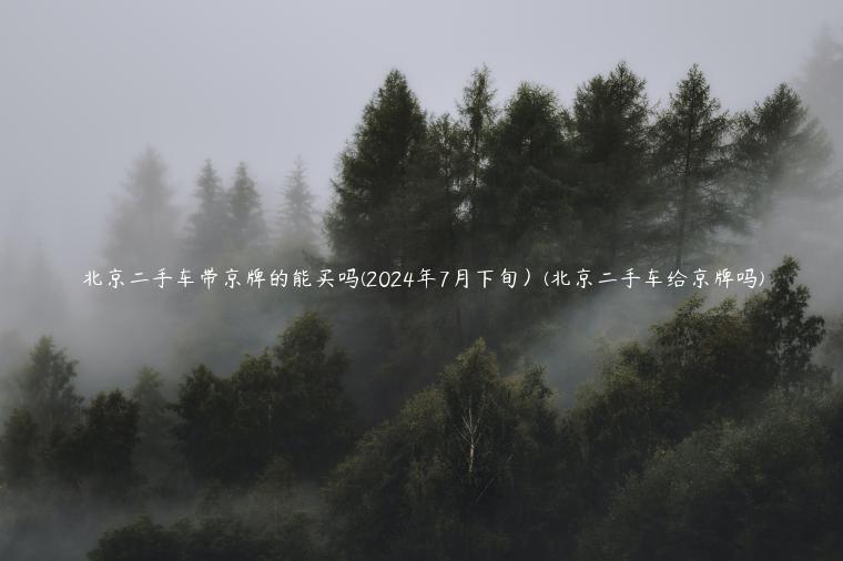 北京二手车带京牌的能买吗(2024年7月下旬）(北京二手车给京牌吗)