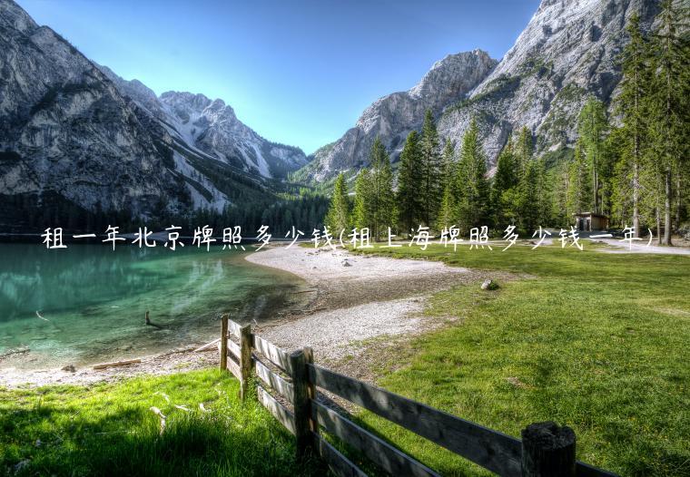 租一年北京牌照多少钱(租上海牌照多少钱一年)