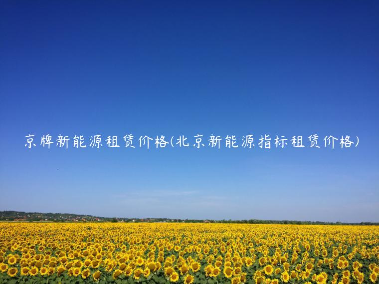 京牌新能源租赁价格(北京新能源指标租赁价格)