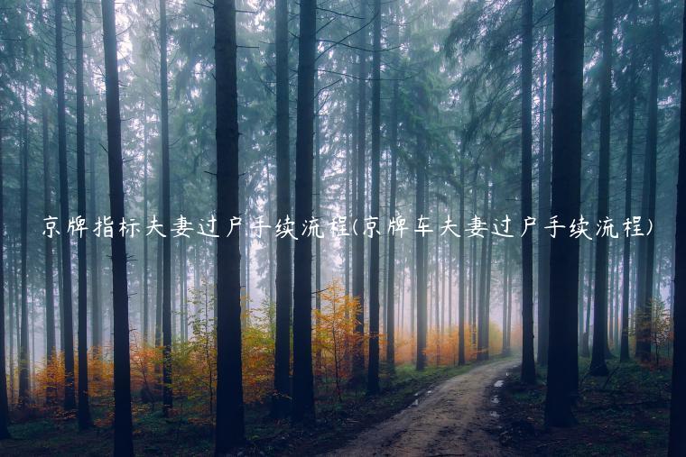 京牌指标夫妻过户手续流程(京牌车夫妻过户手续流程)