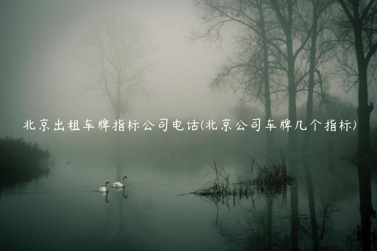 北京出租车牌指标公司电话(北京公司车牌几个指标)