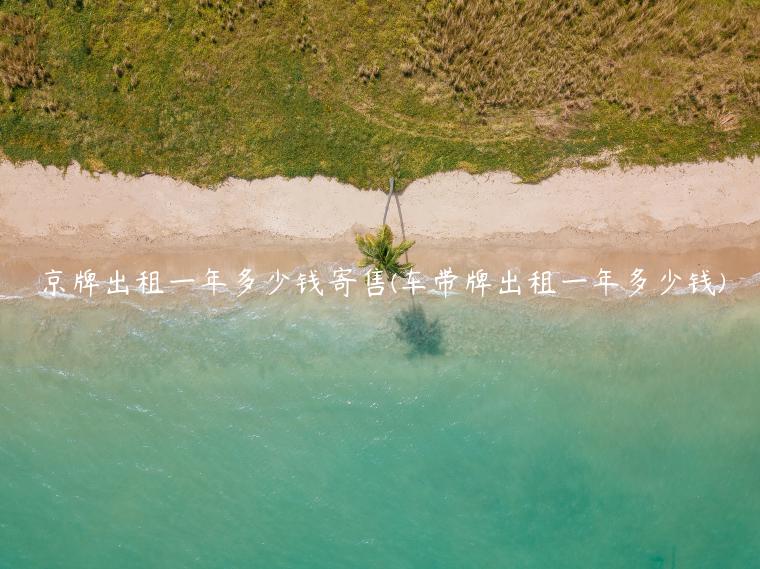 京牌出租一年多少钱寄售(车带牌出租一年多少钱)