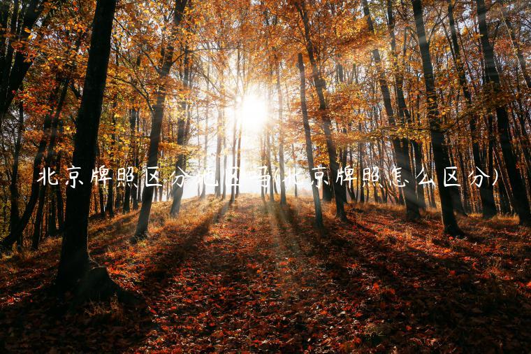 北京牌照区分地区吗(北京牌照怎么区分)