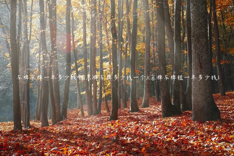 车牌京牌一年多少钱啊(京牌车牌多少钱一个)(京牌车牌租一年多少钱)