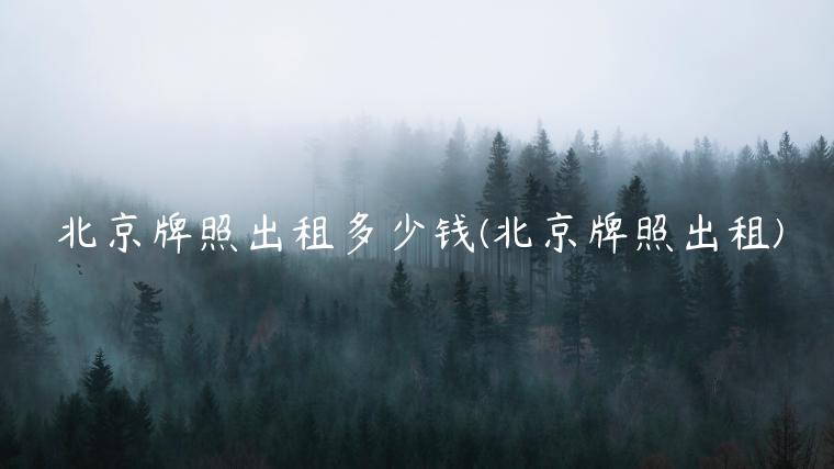 北京牌照出租多少钱(北京牌照出租)
