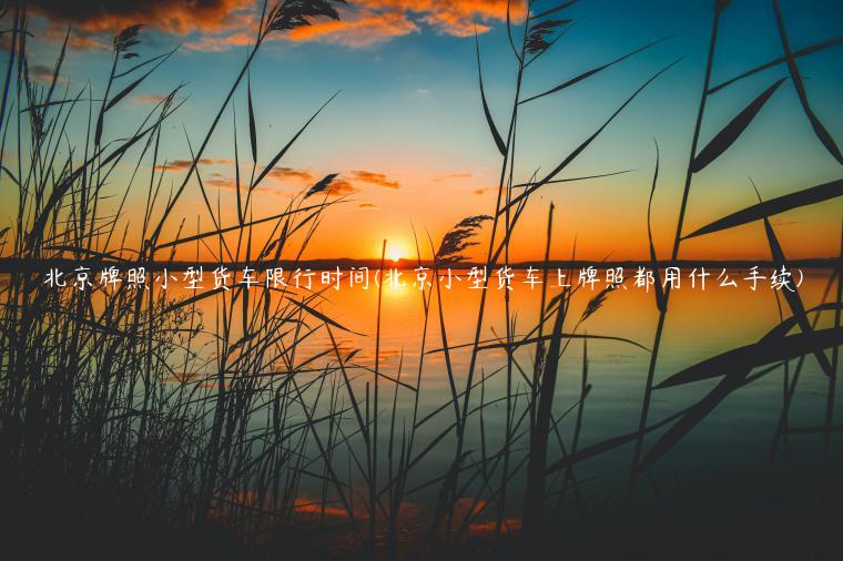 北京牌照小型货车限行时间(北京小型货车上牌照都用什么手续)