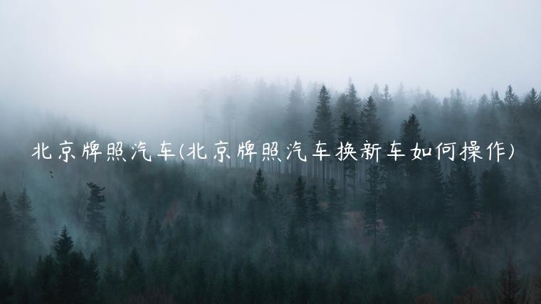 北京牌照汽车(北京牌照汽车换新车如何操作)