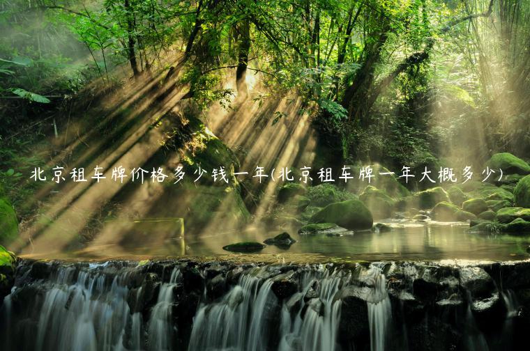 北京租车牌价格多少钱一年(北京租车牌一年大概多少)