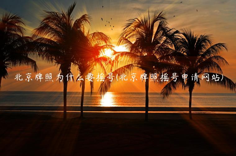 北京牌照为什么要摇号(北京牌照摇号申请网站)