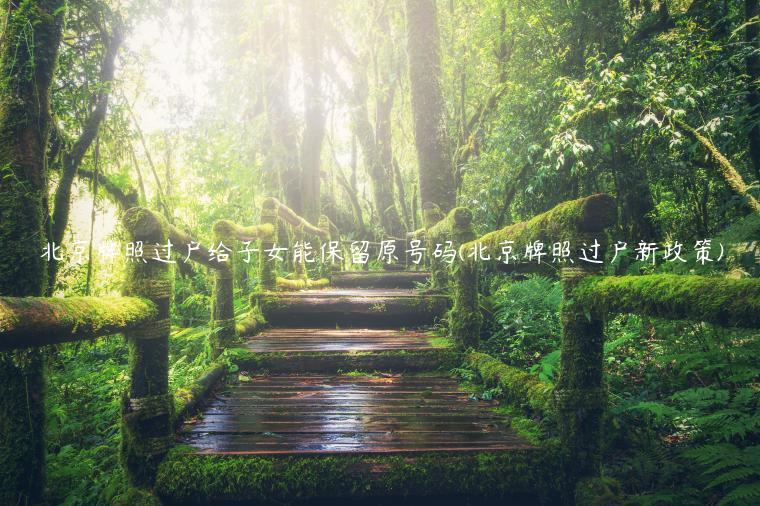 北京牌照过户给子女能保留原号码(北京牌照过户新政策)