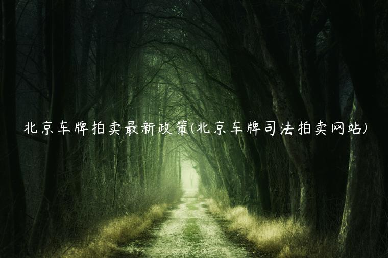北京车牌拍卖最新政策(北京车牌司法拍卖网站)