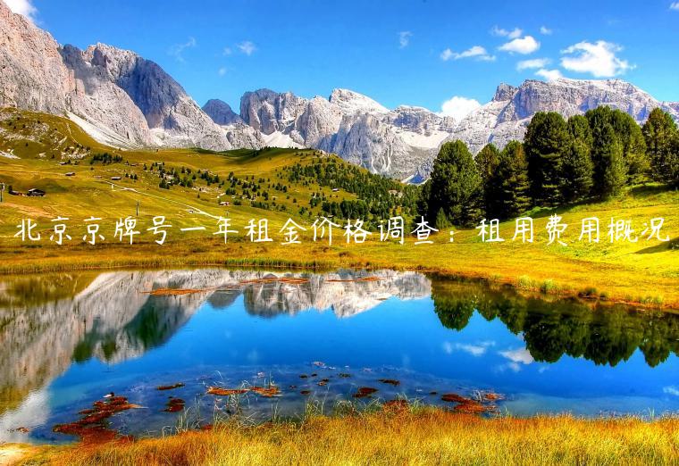 北京京牌号一年租金价格调查：租用费用概况