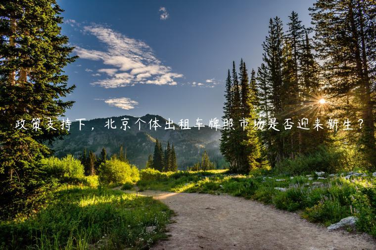 政策支持下，北京个体出租车牌照市场是否迎来新生？