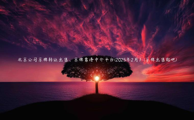 北京公司京牌转让出售、京牌靠谱中介平台(2025年2月）(京牌出售贴吧)