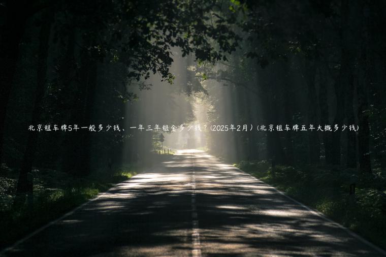 北京租车牌5年一般多少钱、一年三年租金多少钱？(2025年2月）(北京租车牌五年大概多少钱)