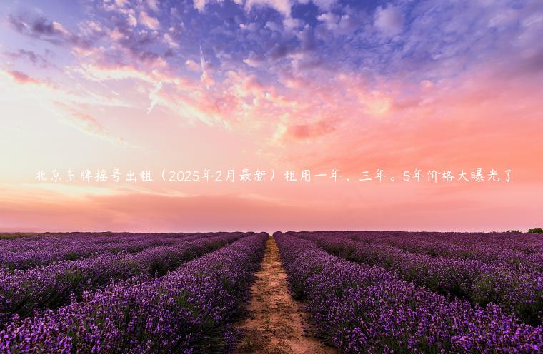 北京车牌摇号出租（2025年2月最新）租用一年、三年。5年价格大曝光了