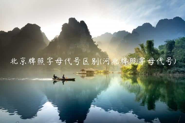 北京牌照字母代号区别(河北牌照字母代号)