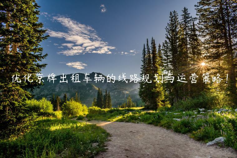 优化京牌出租车辆的线路规划与运营策略！