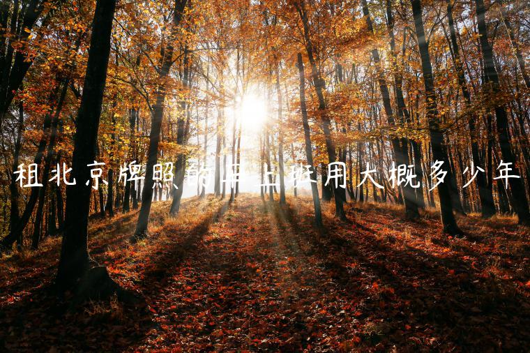 租北京牌照的车上班用大概多少年