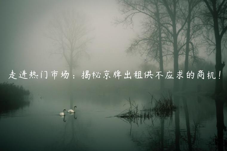 走进热门市场：揭秘京牌出租供不应求的商机！