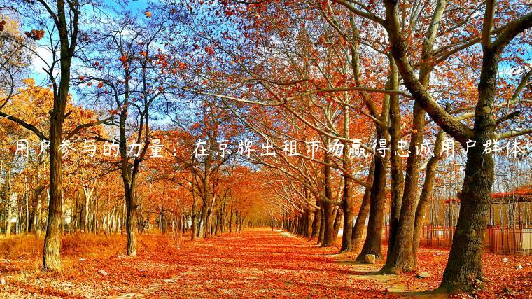 用户参与的力量：在京牌出租市场赢得忠诚用户群体