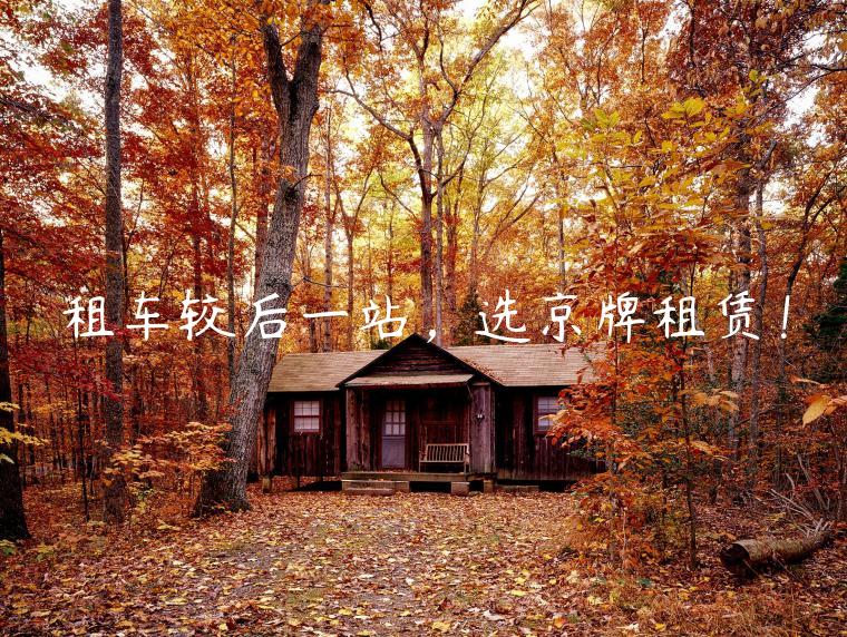 租车较后一站，选京牌租赁！