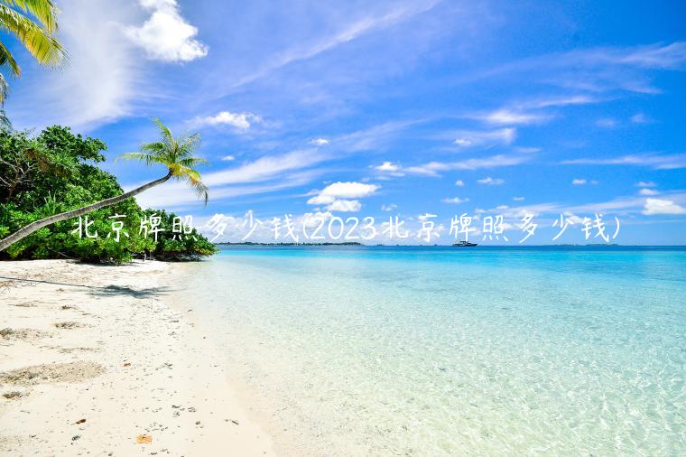 北京牌照多少钱(2023北京牌照多少钱)