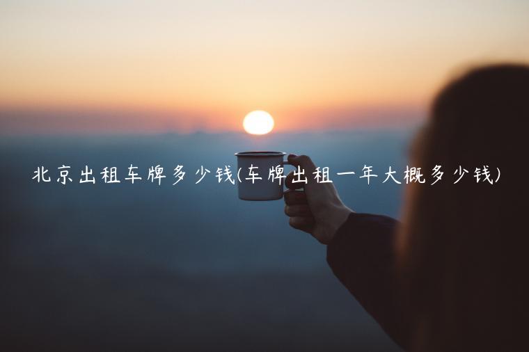 北京出租车牌多少钱(车牌出租一年大概多少钱)