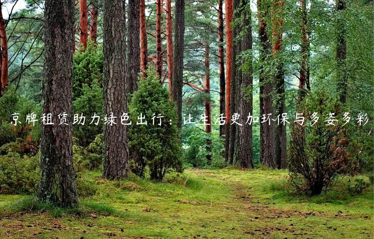京牌租赁助力绿色出行：让生活更加环保与多姿多彩
