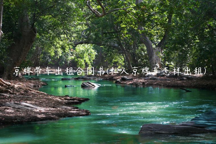 京牌带车出租合同书(私人京牌车怎样出租)