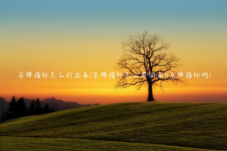京牌指标怎么打出来(京牌指标怎么要回来)(京牌指标网)