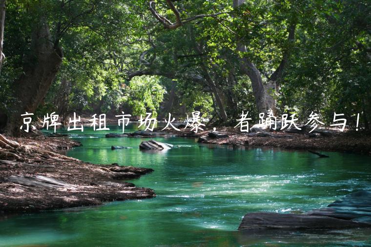 京牌出租市场火爆，者踊跃参与！
