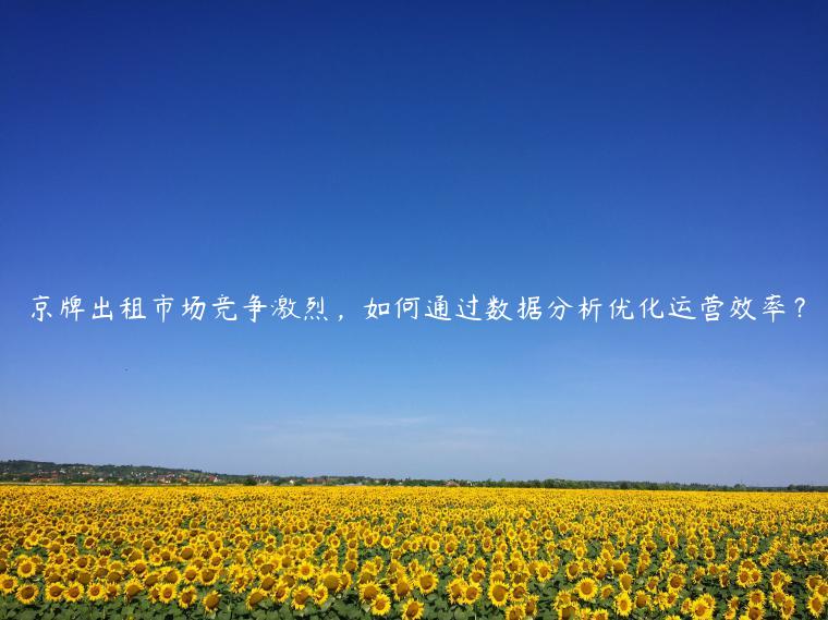 京牌出租市场竞争激烈，如何通过数据分析优化运营效率？