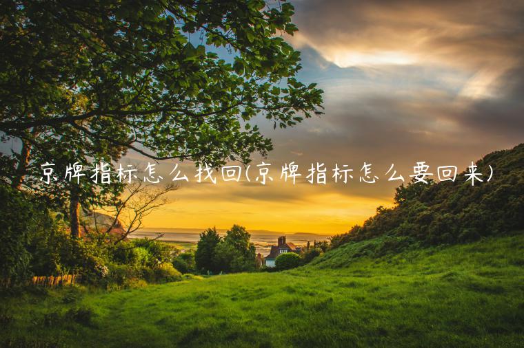 京牌指标怎么找回(京牌指标怎么要回来)
