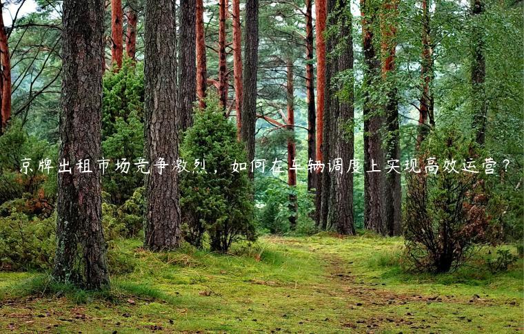 京牌出租市场竞争激烈，如何在车辆调度上实现高效运营？