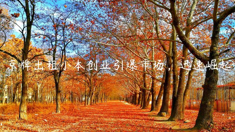 京牌出租小本创业引爆市场，迅速崛起