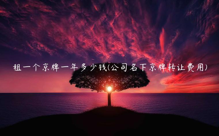 租一个京牌一年多少钱(公司名下京牌转让费用)