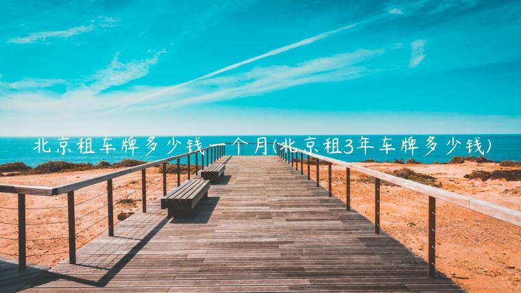 北京租车牌多少钱一个月(北京租3年车牌多少钱)