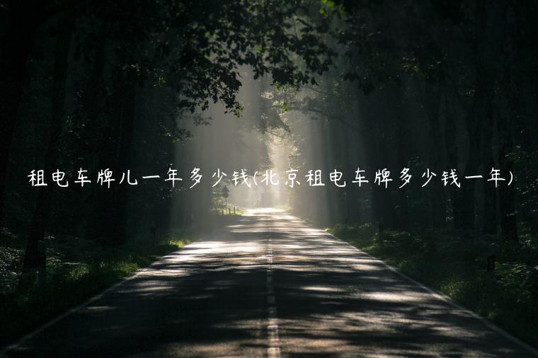 租电车牌儿一年多少钱(北京租电车牌多少钱一年)