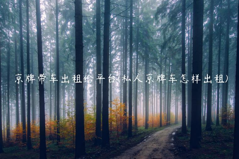 京牌带车出租给平台(私人京牌车怎样出租)