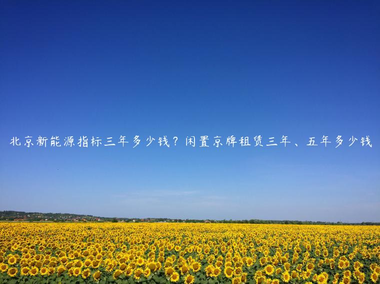 北京新能源指标三年多少钱？闲置京牌租赁三年、五年多少钱