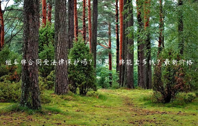 租车牌合同受法律保护吗？闲置京牌能卖多钱？最新价格