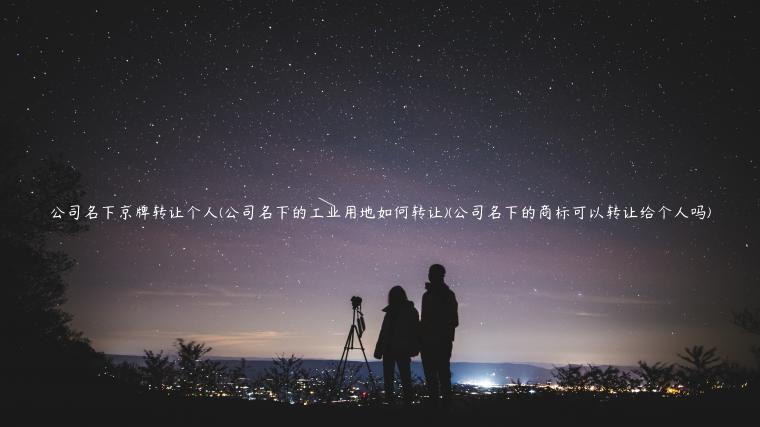 公司名下京牌转让个人(公司名下的工业用地如何转让)(公司名下的商标可以转让给个人吗)