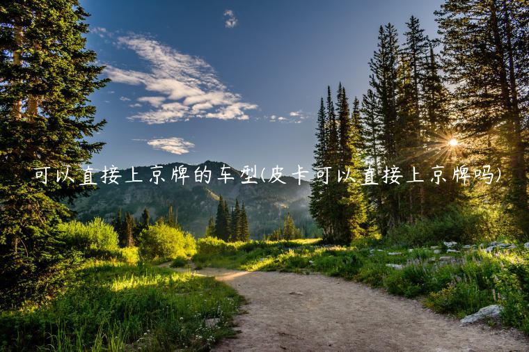 可以直接上京牌的车型(皮卡可以直接上京牌吗)