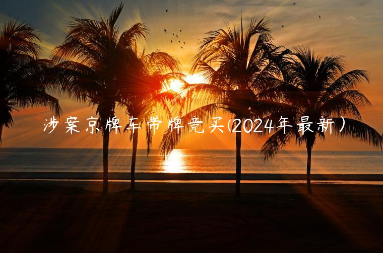 涉案京牌车带牌竞买(2024年最新）