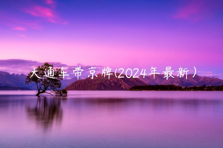 大通车带京牌(2024年最新）