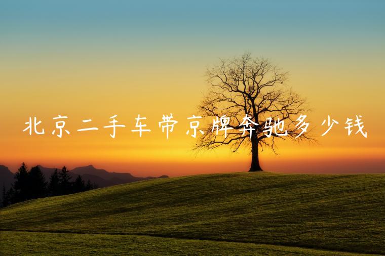 北京二手车带京牌奔驰多少钱