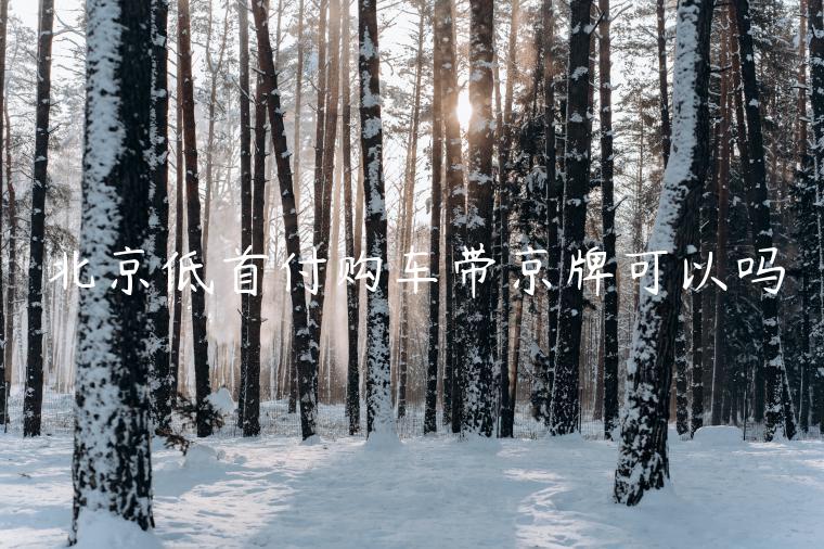 北京低首付购车带京牌可以吗