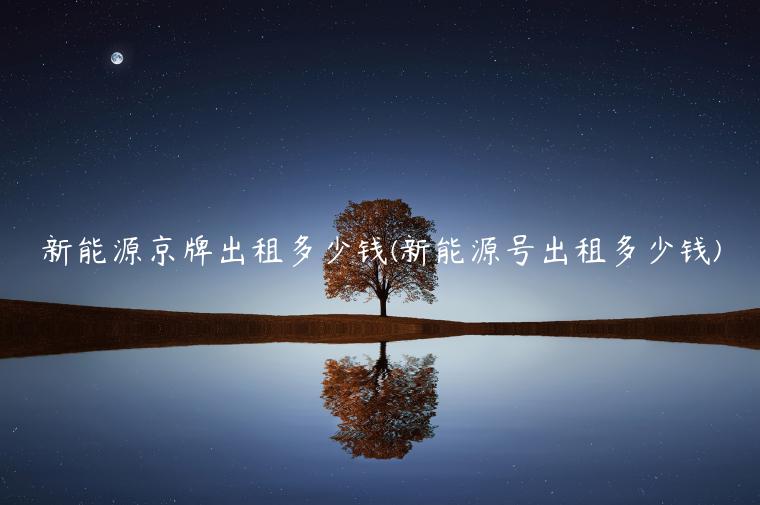 新能源京牌出租多少钱(新能源号出租多少钱)